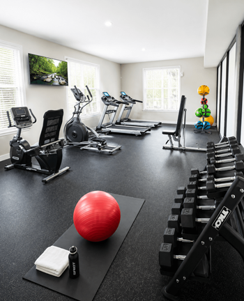 Fitness room with cardio machines and free weights